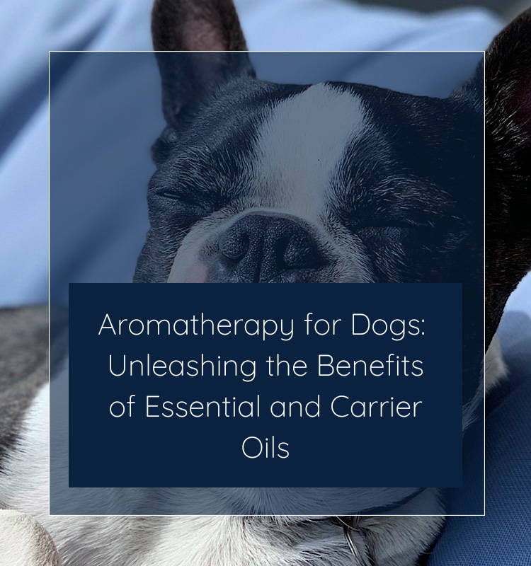 Aromatherapy for Dogs Unleashing the Benefits of Essential and Carrie